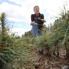 Ferguson Forest Centre announces the retirement of its Chief Executive Office – Ed Patchell