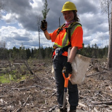 Ferguson Tree Nursery Making a Difference